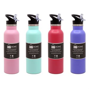 BB STAINLESS STEEL BOTTLE SOLID